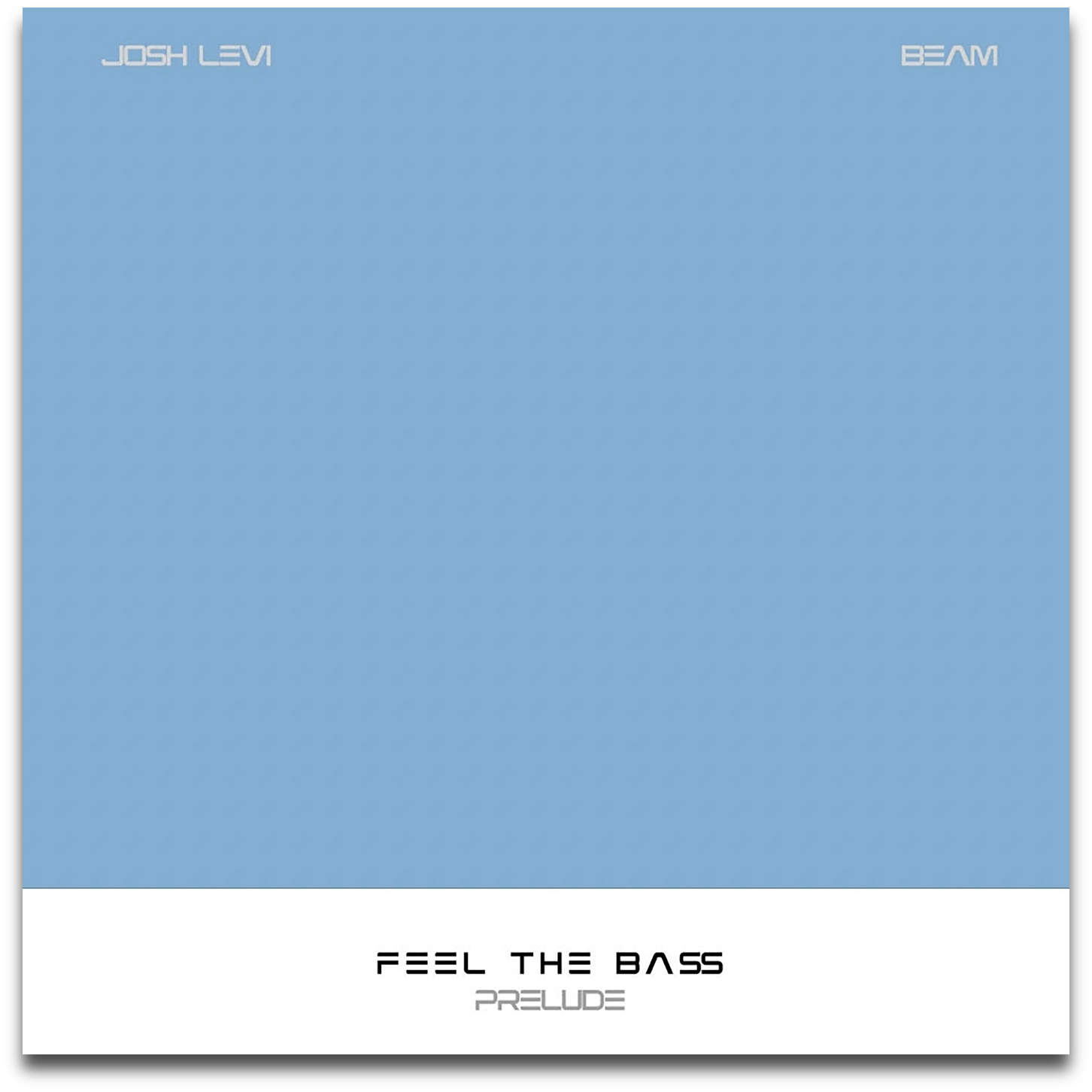 Feel The bass Album Art
